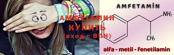 индика Алзамай