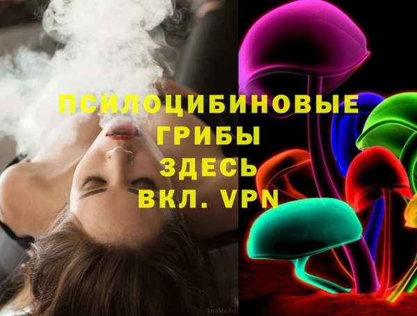 метадон Алексин