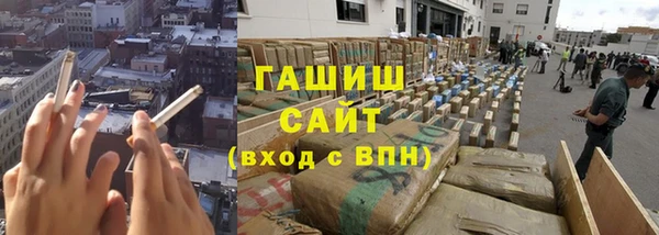 индика Алзамай