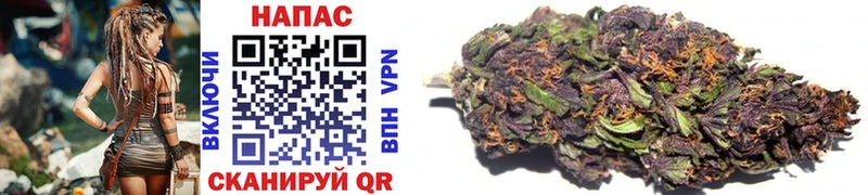 Шишки марихуана SATIVA & INDICA  KRAKEN зеркало  Алупка 